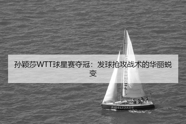 sun-ying-sha-qiu-xing-sai-duo-guan-fa-qiu-qiang-gong-zhan-shu-de-hua-li-tui-bian-2-461.jpg