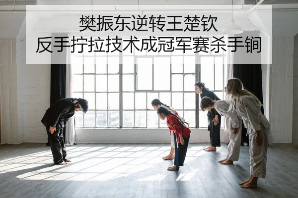 樊振东逆转王楚钦 反手拧拉技术成冠军赛杀手锏