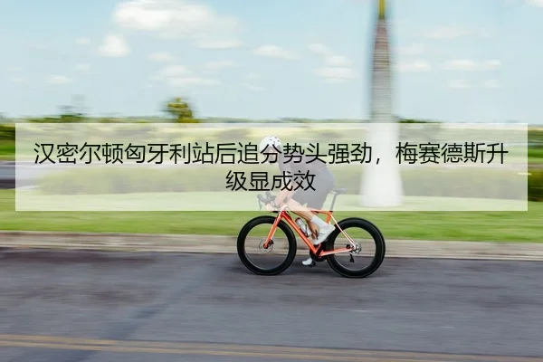 han-mi-er-dun-xiong-ya-li-zhan-hou-zhui-fen-shi-tou-qiang-jing-mei-sai-de-si-sheng-ji-xian-cheng-xiao-1-602.jpg